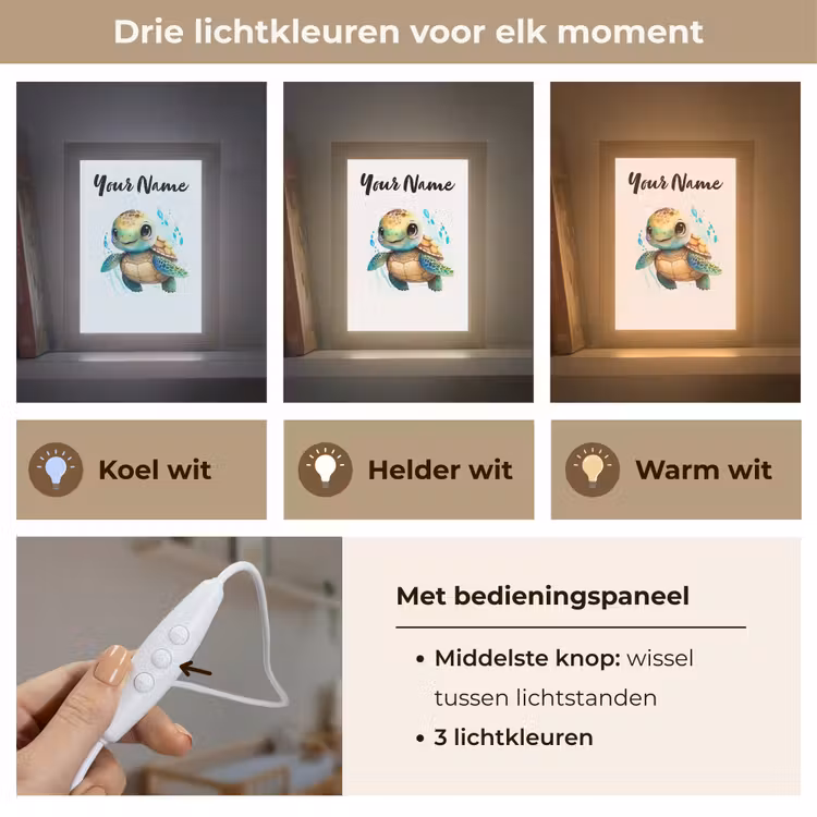 Schildpad - Waterverf - Kleuren - Dieren - Meisjes - Jongens Light Box met kabel (Kinderlampje) klein -USP_lichtkleurNL