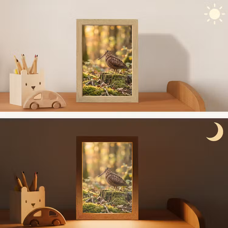 Houtsnip - Bos - Bladeren - Herfst - Gecamoufleerd Light Box met kabel (Kinderlampje) klein -sfeer3_kind