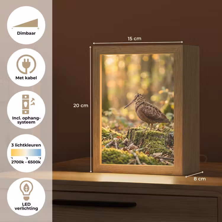 Houtsnip - Bos - Bladeren - Herfst - Gecamoufleerd Light Box met kabel (Kinderlampje) klein -USP_NL