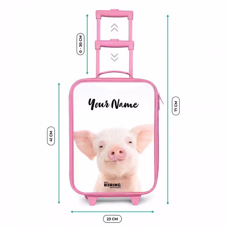 Binky Big Kinderkoffer - Roze klein -productfoto_formaten