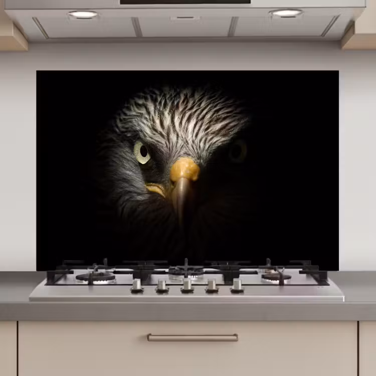 Vogel - Adelaar - Roofvogels - Oog - Snavel - Licht keuken achterwand spatscherm klein -3d_website