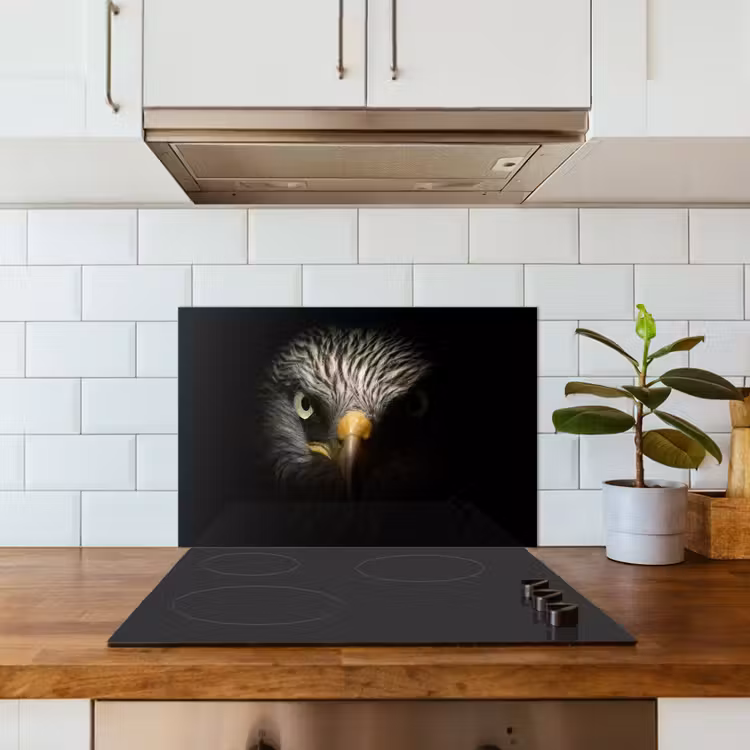 Vogel - Adelaar - Roofvogels - Oog - Snavel - Licht keuken achterwand spatscherm klein -sfeer2