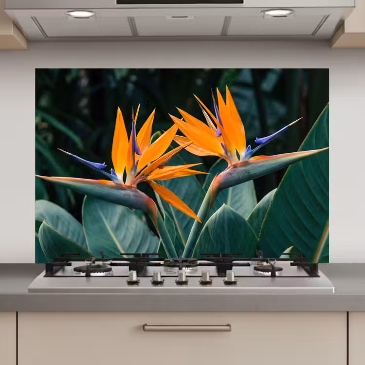 Paradijsvogel - Bloem - Exotisch keuken achterwand spatscherm klein -3d_website
