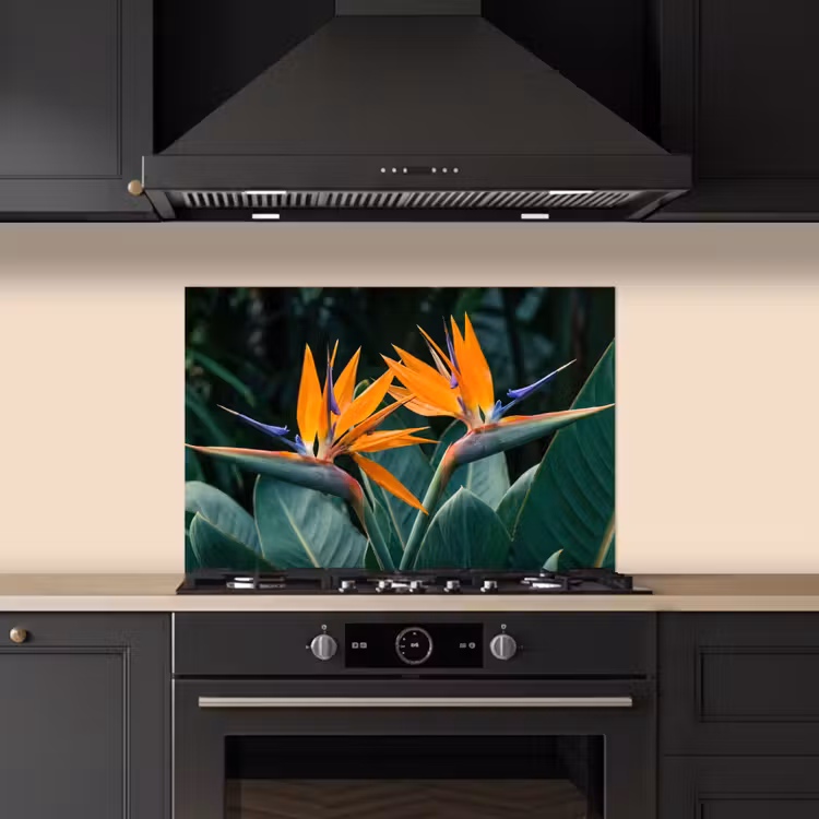 Paradijsvogel - Bloem - Exotisch keuken achterwand spatscherm klein -sfeer1