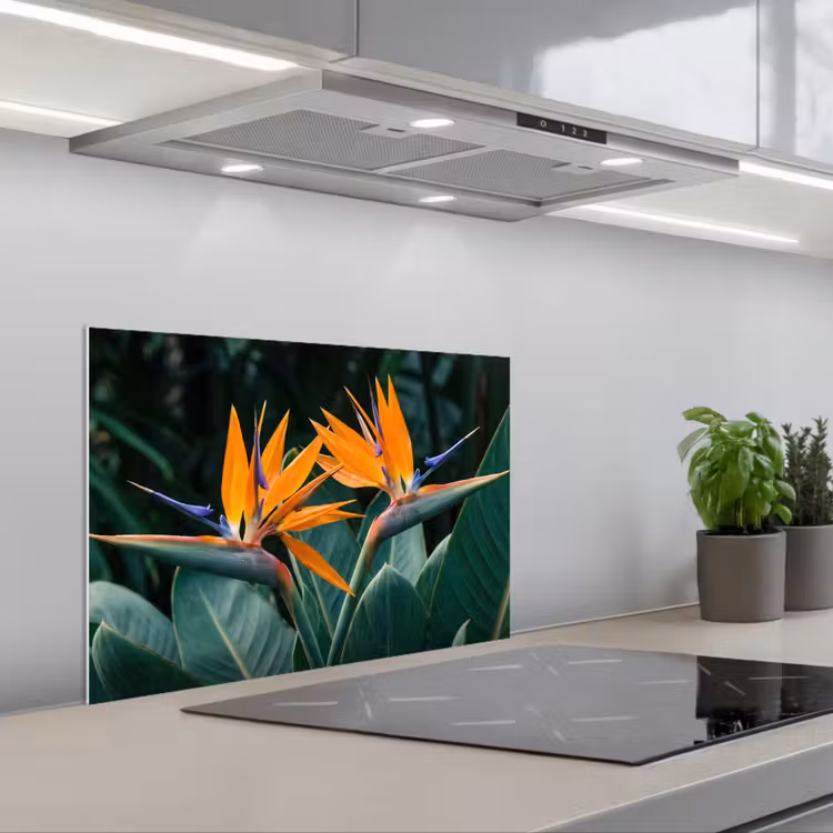 Paradijsvogel - Bloem - Exotisch keuken achterwand spatscherm klein -3d_schuin