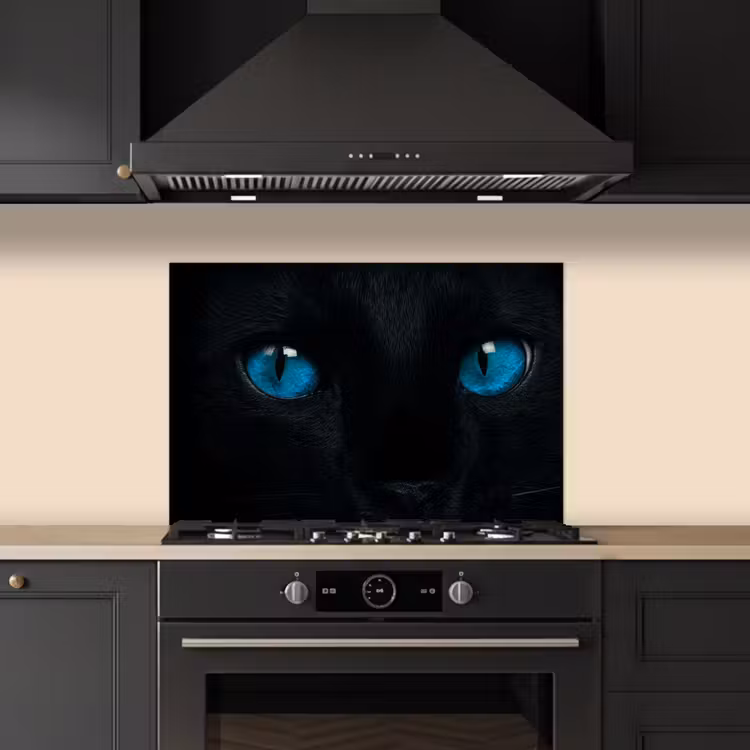 Kat - Blauw - Dier - Zwart keuken achterwand spatscherm klein -sfeer1