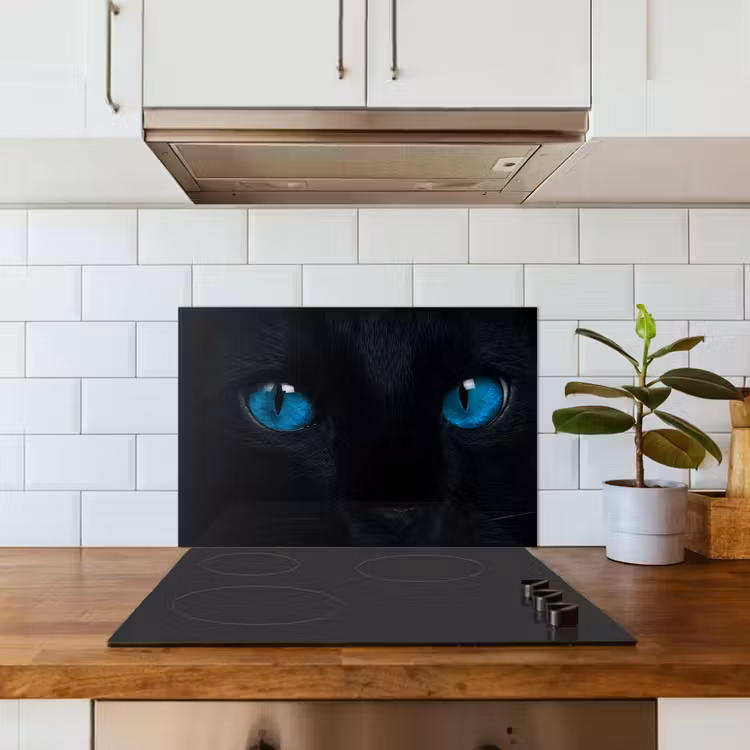 Kat - Blauw - Dier - Zwart keuken achterwand spatscherm klein -sfeer2