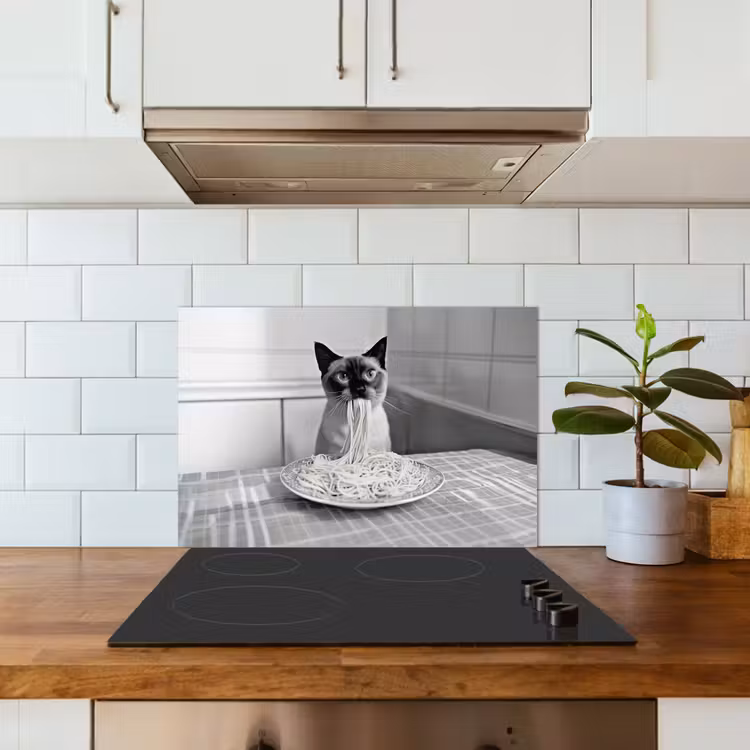 Kat - Siamees - Zwart Wit - Schattig - Dieren keuken achterwand spatscherm klein -sfeer2