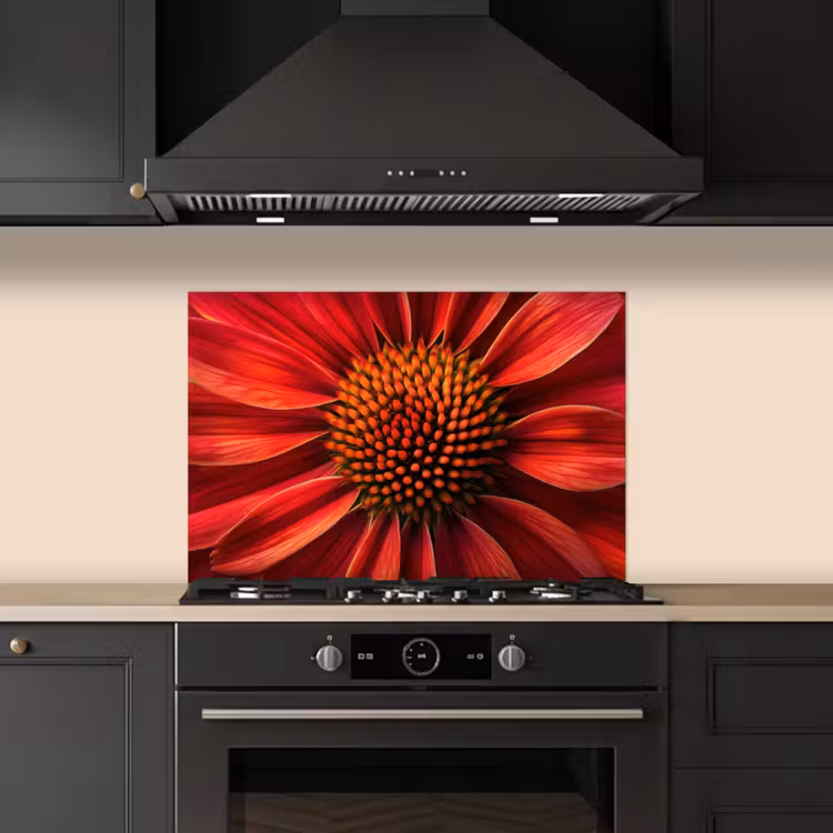 Close up - Bloem- Rood keuken achterwand spatscherm klein -sfeer1