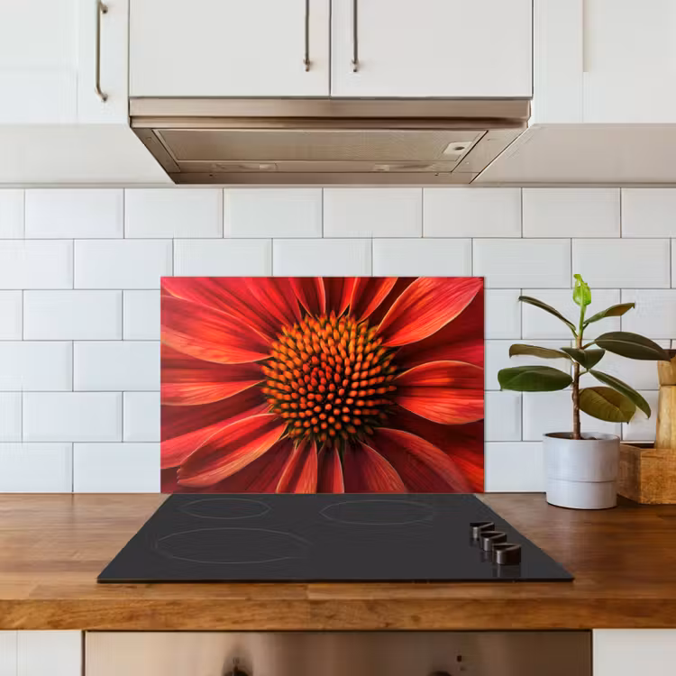 Close up - Bloem- Rood keuken achterwand spatscherm klein -sfeer2