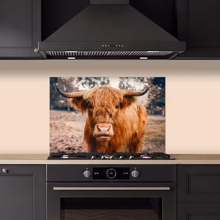 Koe- Schotse hooglander - Hoorns - Bruin - Landschap keuken achterwand spatscherm klein -sfeer1