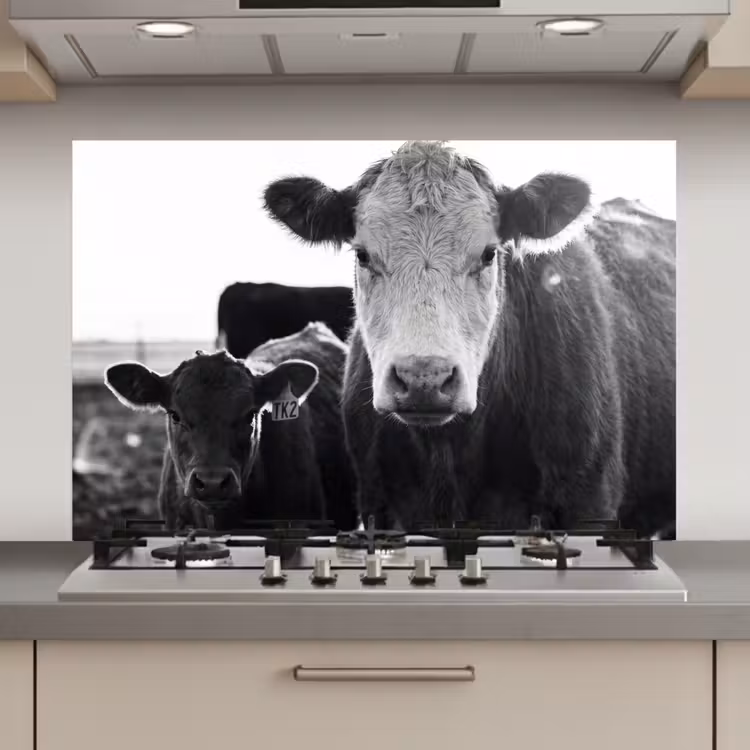 Koeien - Zwart - Wit keuken achterwand spatscherm klein -3d_website
