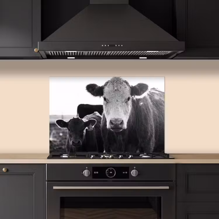Koeien - Zwart - Wit keuken achterwand spatscherm klein -sfeer1