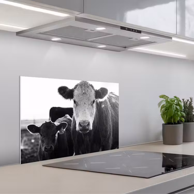 Koeien - Zwart - Wit keuken achterwand spatscherm klein -3d_schuin
