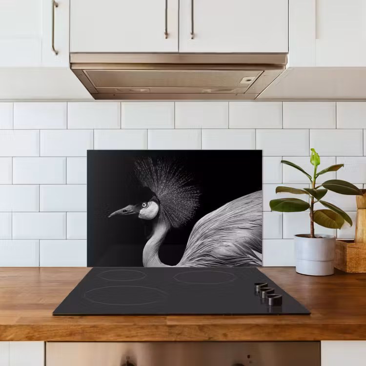 Kraanvogel - Zwart - Wit - Vogel - Dieren keuken achterwand spatscherm klein -sfeer2