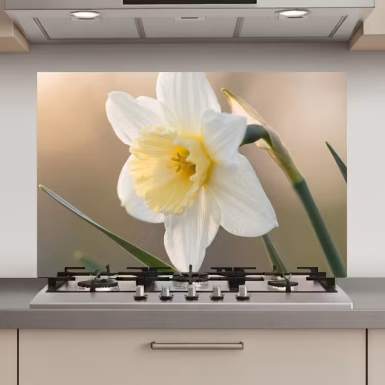 Narcis - Bloem - Minimalistisch keuken achterwand spatscherm klein -3d_website