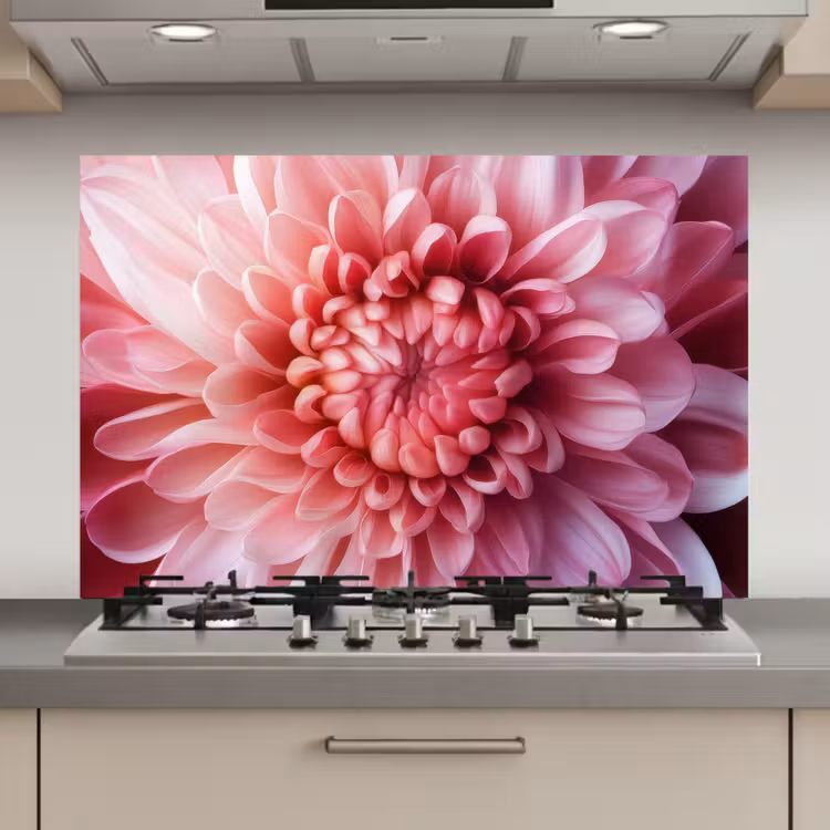 Dahlia - Bloem - Close up - Roze keuken achterwand spatscherm klein -3d_website