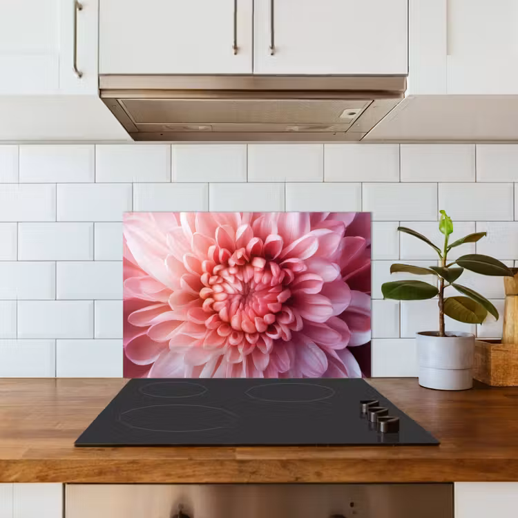 Dahlia - Bloem - Close up - Roze keuken achterwand spatscherm klein -sfeer2