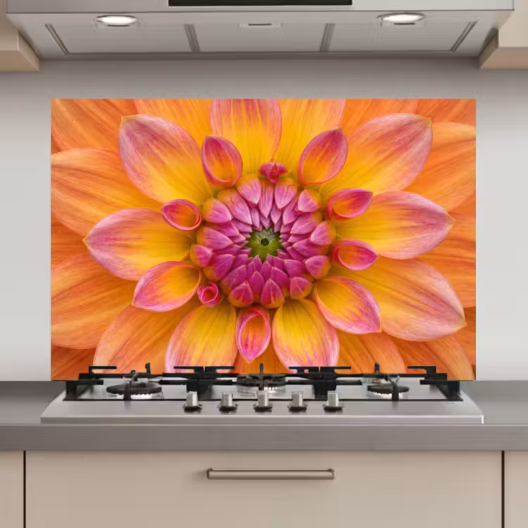 Dahlia - Bloem - Oranje keuken achterwand spatscherm klein -3d_website