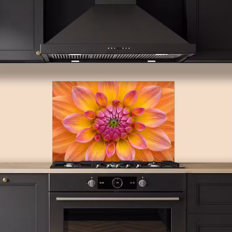 Dahlia - Bloem - Oranje keuken achterwand spatscherm klein -sfeer1
