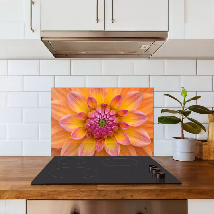 Dahlia - Bloem - Oranje keuken achterwand spatscherm klein -sfeer2