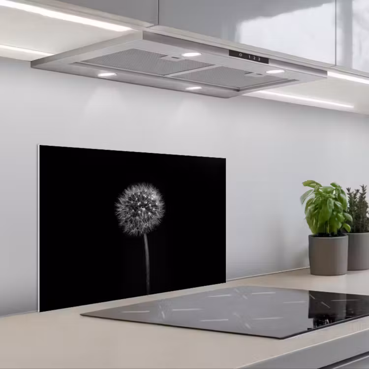Paardenbloem - Zwart - Bloemen - Botanisch keuken achterwand spatscherm klein -3d_schuin