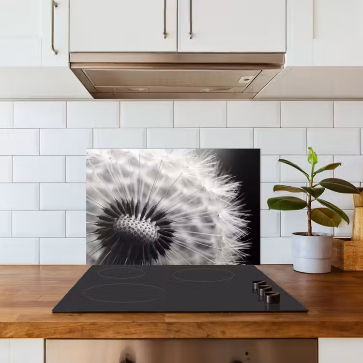 Paardenbloem - Zwart - Wit keuken achterwand spatscherm klein -sfeer2
