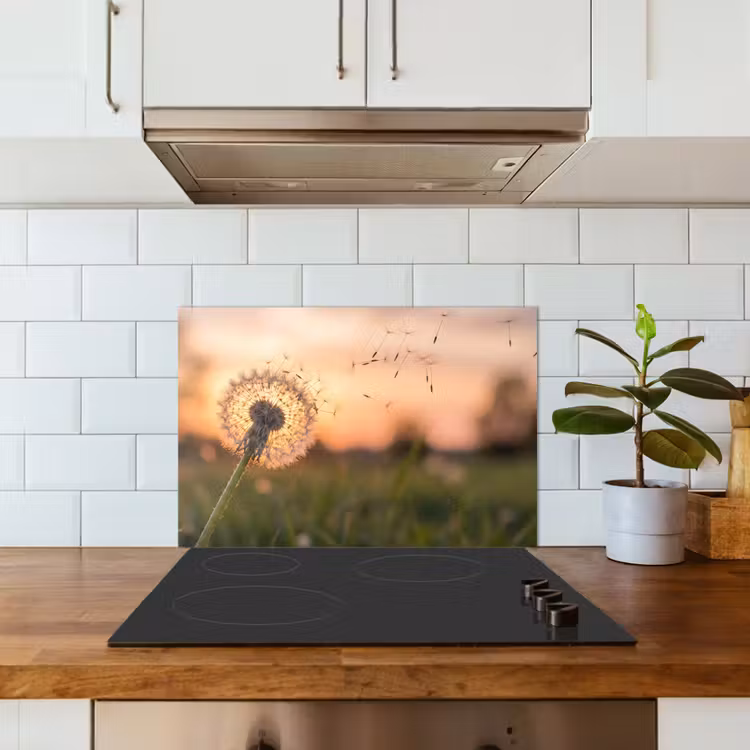Paardenbloem - Zonsondergang - Veld keuken achterwand spatscherm klein -sfeer2