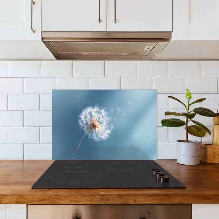Paardenbloem - Wind - Blauw keuken achterwand spatscherm klein -sfeer2