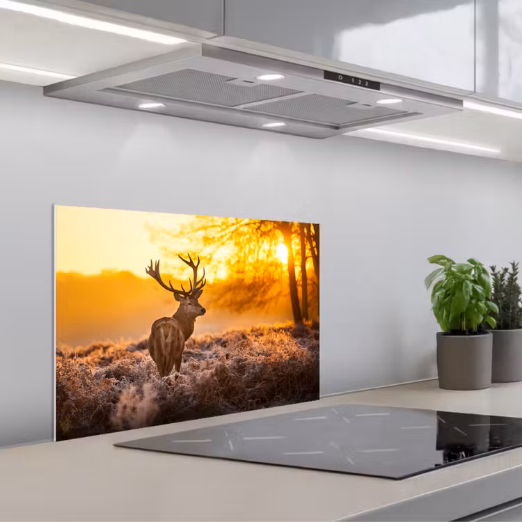 Hert - Dieren - Zonsondergang - Winter - Heide - Natuur keuken achterwand spatscherm klein -3d_schuin
