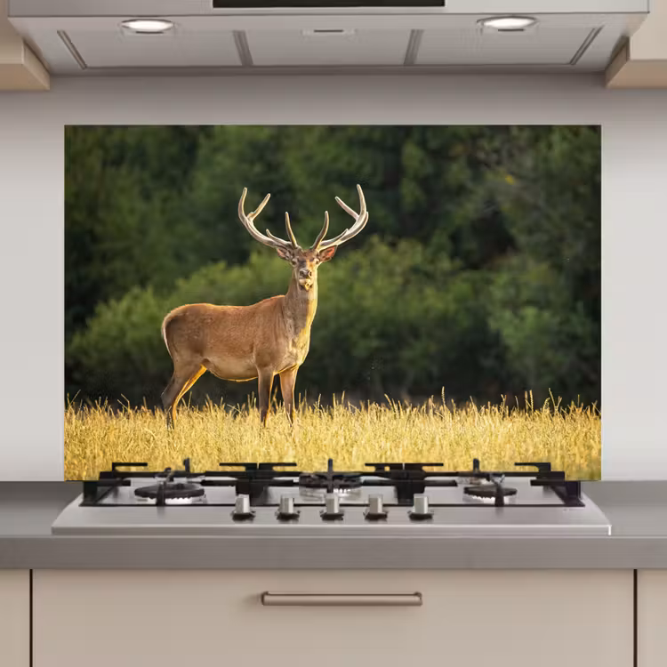 Hert - Gewei - Gras - Natuur - Dieren - Groen keuken achterwand spatscherm klein -3d_website