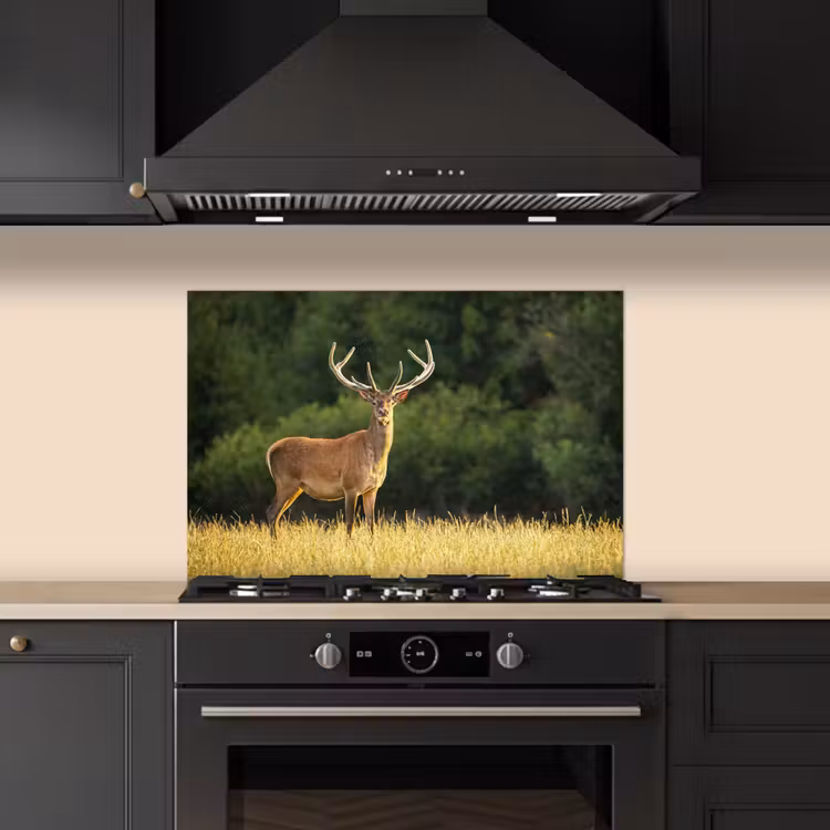 Hert - Gewei - Gras - Natuur - Dieren - Groen keuken achterwand spatscherm klein -sfeer1