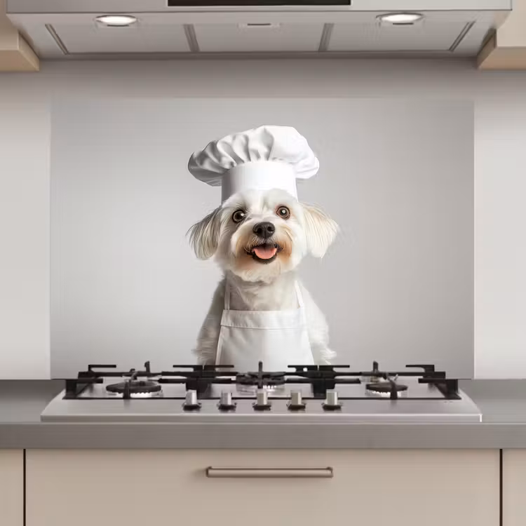 Hond - Wit - Kok keuken achterwand spatscherm klein -3d_website
