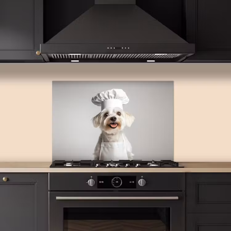 Hond - Wit - Kok keuken achterwand spatscherm klein -sfeer1