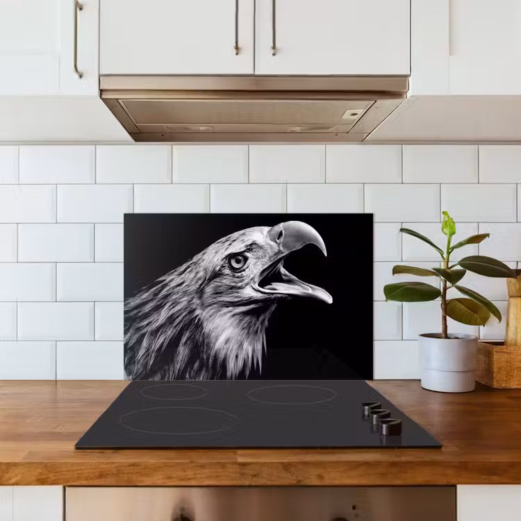 Adelaar - Portret - Roofvogels - Zwart - Wit - Vogel keuken achterwand spatscherm klein -sfeer2