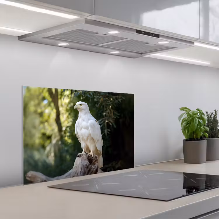 Arend - Hout - Wit - Planten keuken achterwand spatscherm klein -3d_schuin