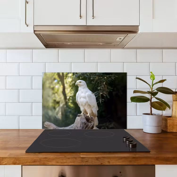 Arend - Hout - Wit - Planten keuken achterwand spatscherm klein -sfeer2