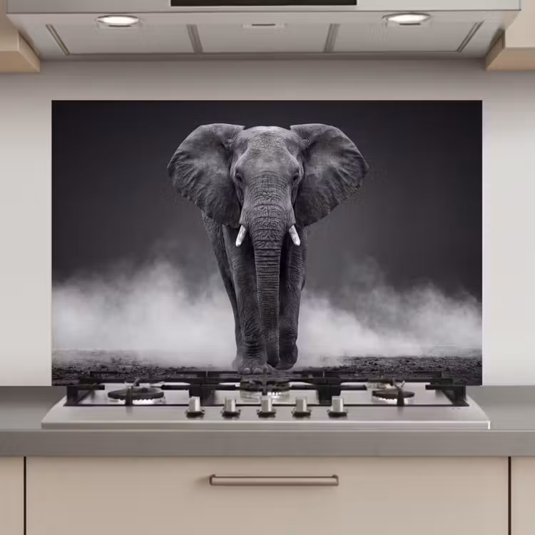 Olifant - Zwart - Wit - Rook keuken achterwand spatscherm klein -3d_website