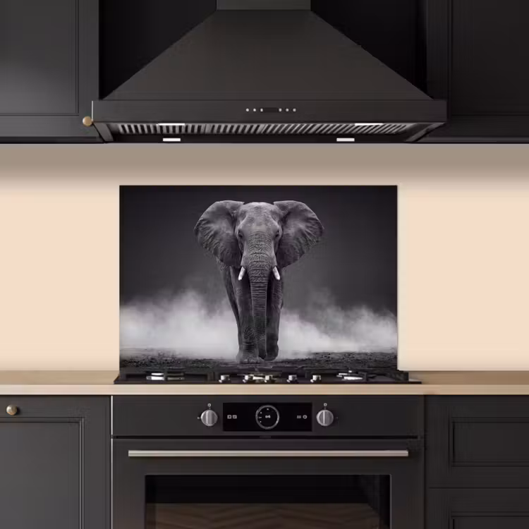 Olifant - Zwart - Wit - Rook keuken achterwand spatscherm klein -sfeer1