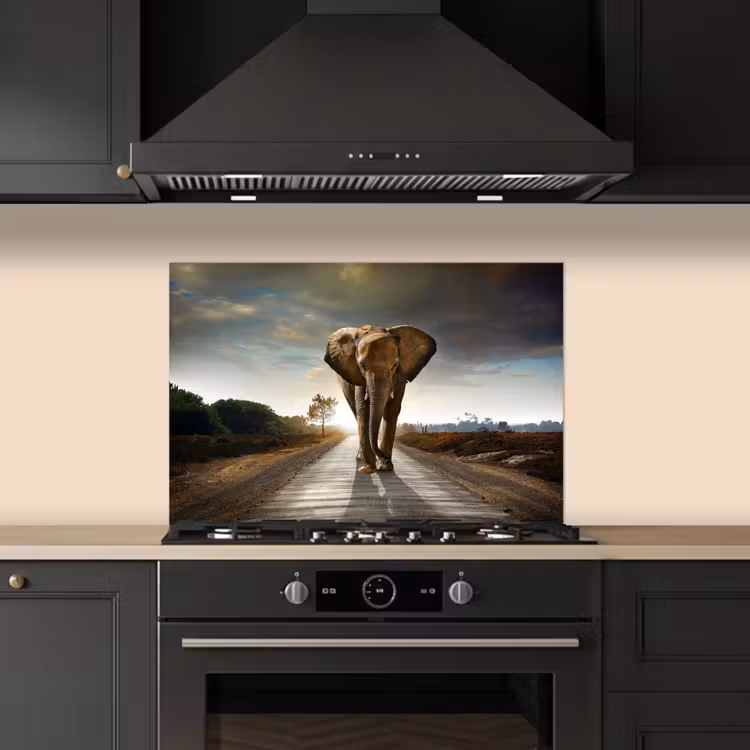 Olifant - Weg - Dieren - Zonsondergang - Landschap keuken achterwand spatscherm klein -sfeer1
