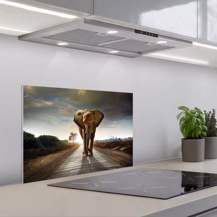 Olifant - Weg - Dieren - Zonsondergang - Landschap keuken achterwand spatscherm klein -3d_schuin