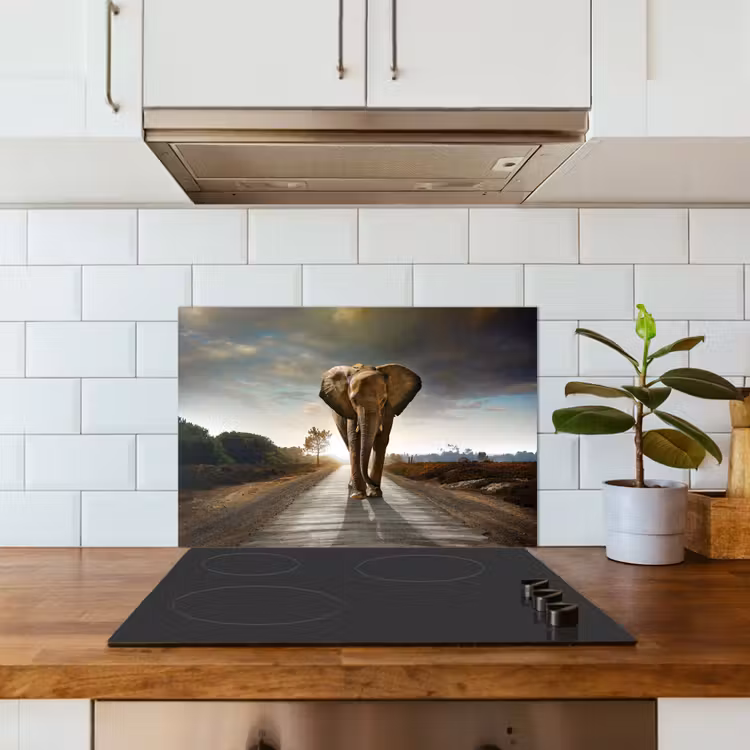 Olifant - Weg - Dieren - Zonsondergang - Landschap keuken achterwand spatscherm klein -sfeer2
