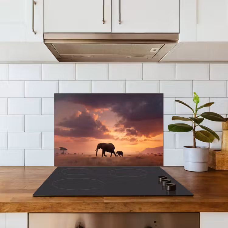 Olifanten - Grasland - Zonsondergang keuken achterwand spatscherm klein -sfeer2