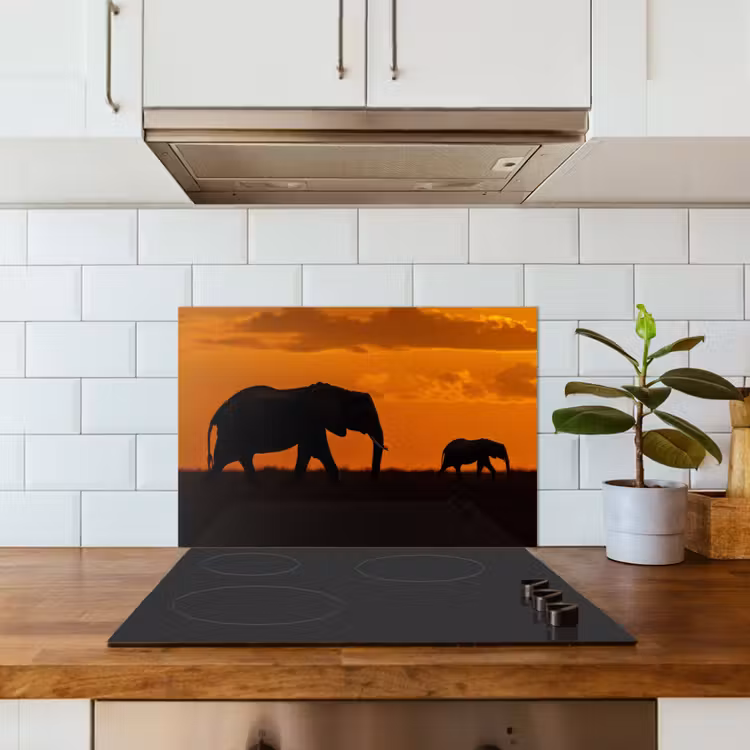 Olifanten - Savanne - Zonsondergang keuken achterwand spatscherm klein -sfeer2