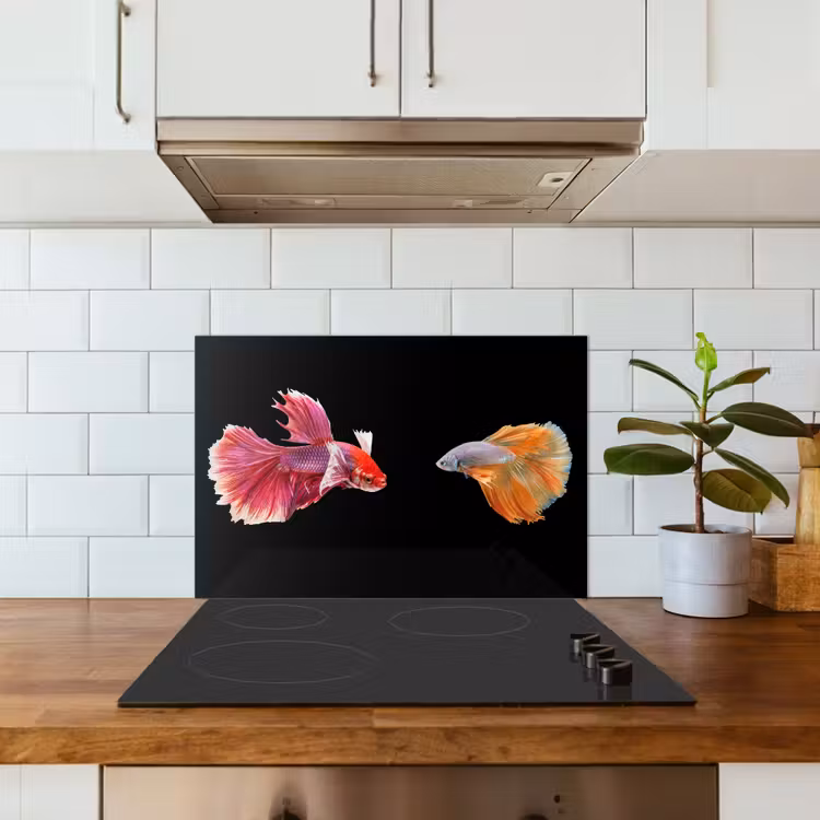 Vissen - Kleurrijk - Dieren keuken achterwand spatscherm klein -sfeer2