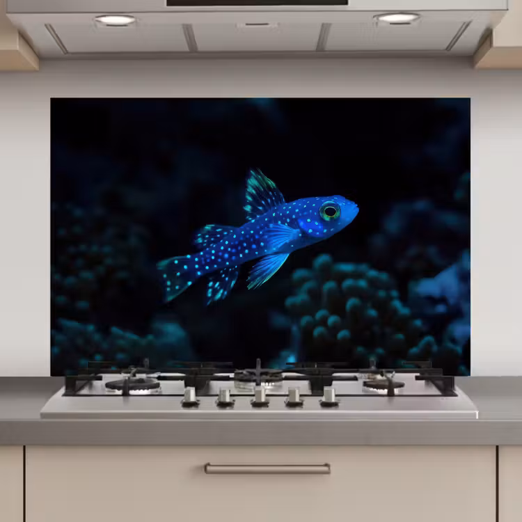 Vis - Stippen - Koraal - Blauw keuken achterwand spatscherm klein -3d_website