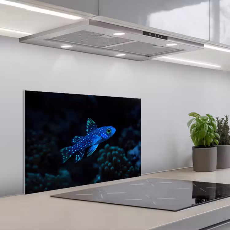 Vis - Stippen - Koraal - Blauw keuken achterwand spatscherm klein -3d_schuin