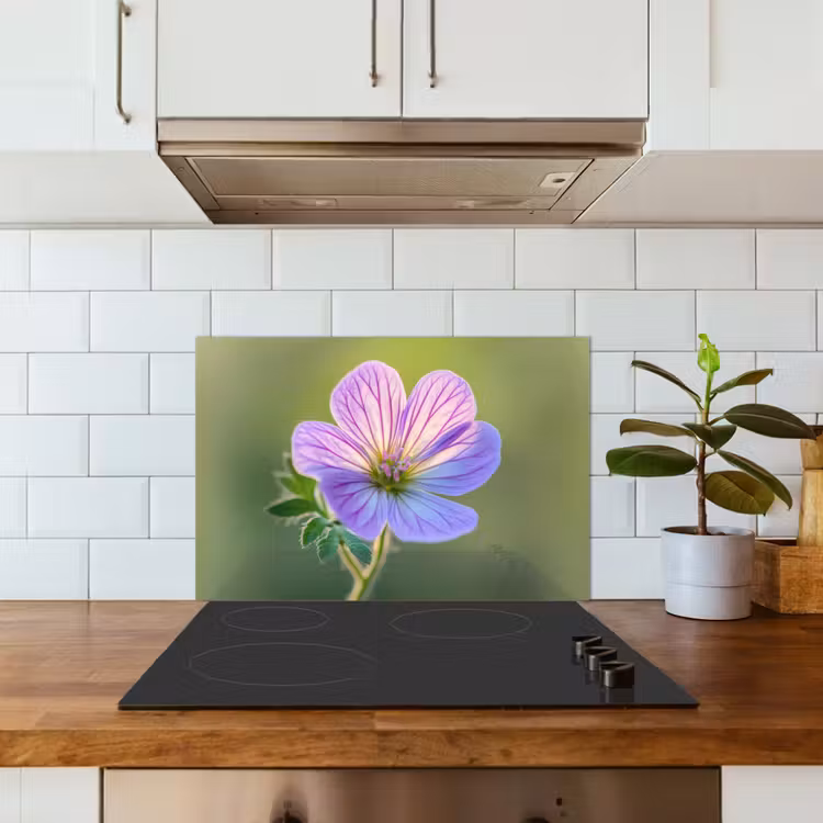 Bloem - Close up - Paars keuken achterwand spatscherm klein -sfeer2