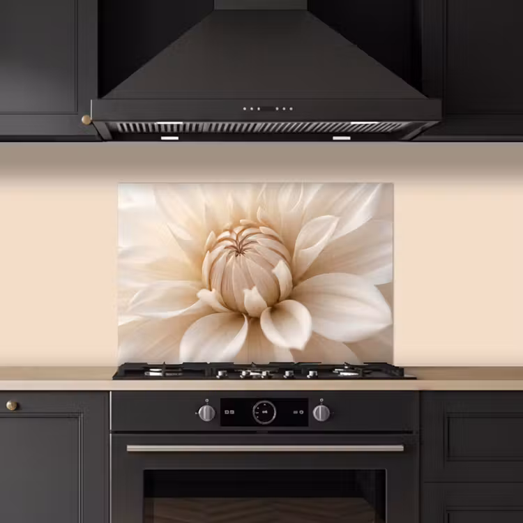 Bloem - Dahlia - Wit keuken achterwand spatscherm klein -sfeer1