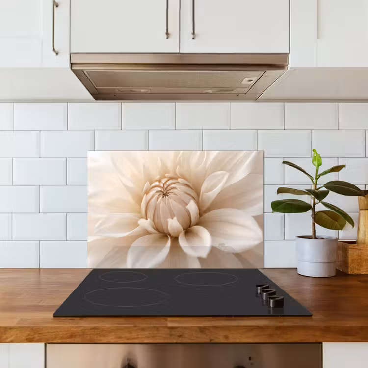 Bloem - Dahlia - Wit keuken achterwand spatscherm klein -sfeer2
